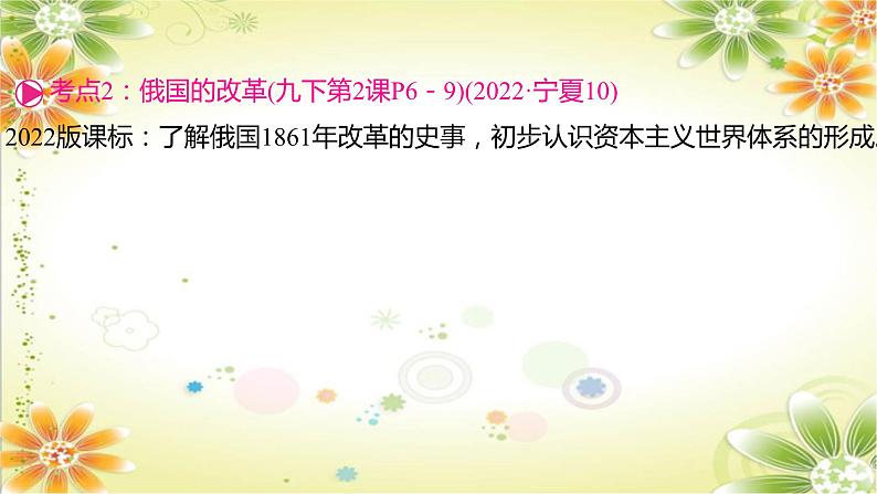 2024年中考历史一轮复习课件（宁夏专用）世界近代史第四单元　殖民地人民的反抗与资本主义制度的扩展08