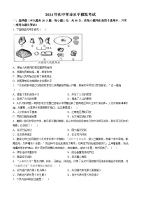 2024年江西省吉安市遂川县中考模拟历史试题