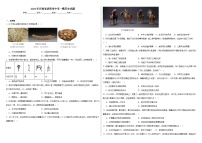 2024年河南省洛阳市中考一模历史试题