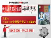 专题11：考前20天回扣课标（九年级下册） 课件
