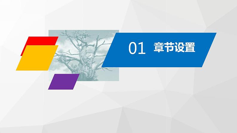 专题11：考前20天回扣课标（九年级下册） 课件02