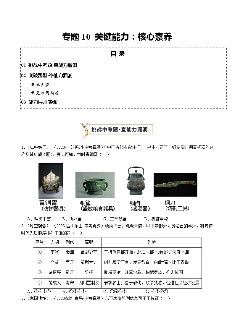 专题10 关键能力：核心素养（查补能力·提升练）（原卷版）第1页