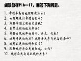 第4课 希腊城邦和亚历山大帝国 课件--2023-2024 部编版历史九年级上册