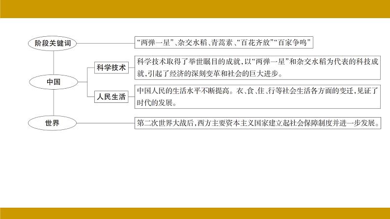 中国现代史 第六单元 科技文化与社会生活  2024年河北省中考历史二轮考点分析 （课件）第3页