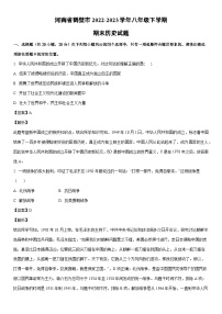 [历史]河南省鹤壁市2022-2023学年八年级下学期期末试题（解析版）