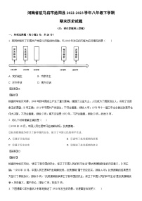 [历史]河南省驻马店市泌阳县2022-2023学年八年级下学期期末试题（解析版）