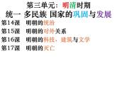 2024人教版初中七年级下册第14课《明朝的统治(1)》PPT课件