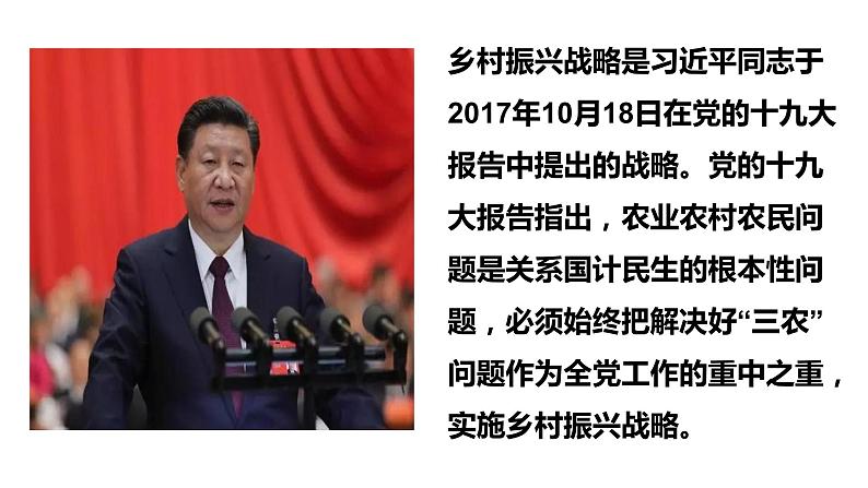 2024成都中考历史复习专题《“三农”先行乡村振兴》课件第2页