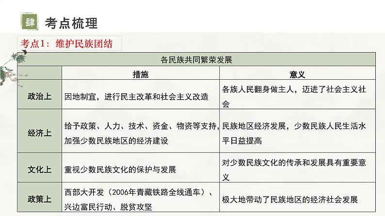 2024年中考历史二轮专题复习：主题19民族团结与祖国统一国防建设与外交成就科技文化与社会生活复习课件第6页