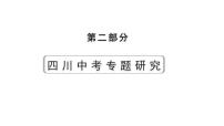 2024四川中考历史二轮专题研究 专题一0三 改革与革命（课件）