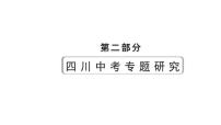 2024四川中考历史二轮专题研究 专题一0二 大国史（课件）