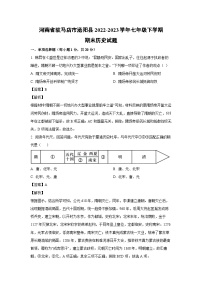 [历史]河南省驻马店市泌阳县2022-2023学年七年级下学期期末试题（解析版）