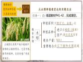 第9課 宋代經(jīng)濟(jì)的發(fā)展 課件+視頻  部編版歷史七年級(jí)下冊(cè)