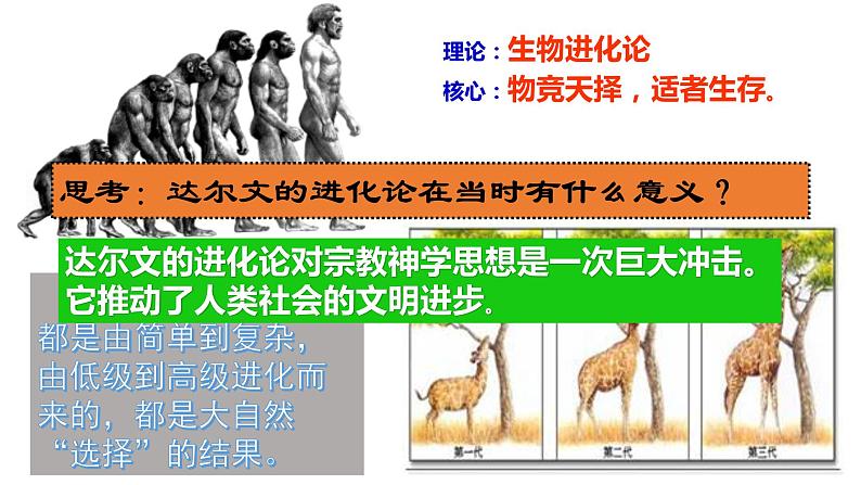 第7课近代科学与文化课件2023-2024 部编版历史九年级下册08