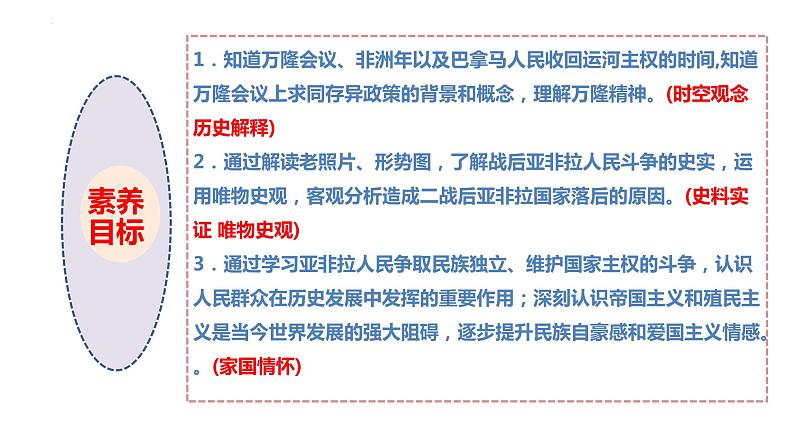 第19课亚非拉国家的新发展课件-2023-2024学年部编版历史九年级下册05