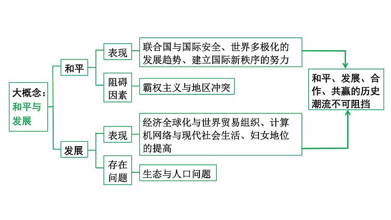 2024四川中考历史知识点研究复习专题 走向和平发展的世界 课件第5页