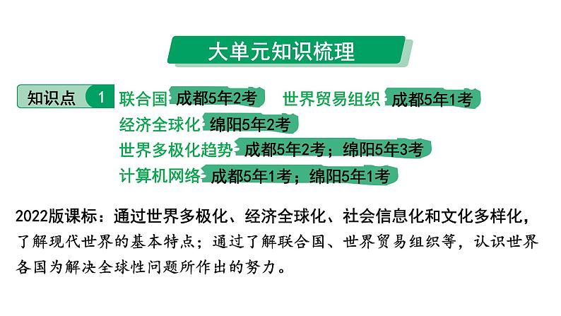 2024四川中考历史知识点研究复习专题 走向和平发展的世界 课件第6页