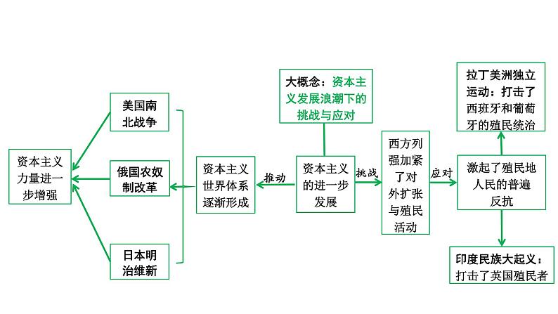 2024四川中考历史知识点研究复习专题 殖民地人民的反抗与资本主义制度的扩展 课件第5页