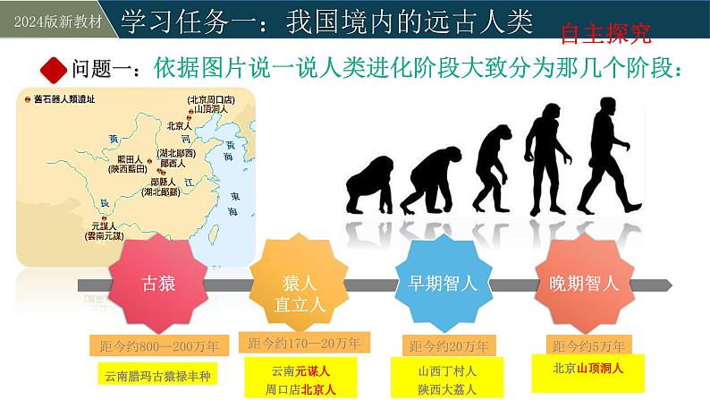 人教版（2024）初中历史7上 第1课  远古时期的人类活动（精品课件）05