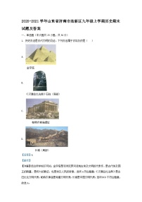 2020-2021学年山东省济南市高新区九年级上学期历史期末试题及答案