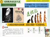 【新课•标新教材】人教部编版七年级历史上册第1课_远古时期的人类活动（同步课件）