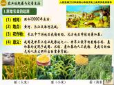 【新課標(biāo)新教材】人教部編版七年級(jí)歷史上冊(cè)第2課原始農(nóng)業(yè)與史前社會(huì)（同步課件）