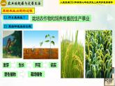 【新課標(biāo)新教材】人教部編版七年級(jí)歷史上冊(cè)第2課原始農(nóng)業(yè)與史前社會(huì)（同步課件）