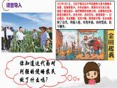 第3课  太平天国运动-【新课标核心素养时代】（精品课件+预习清单+素养评价）