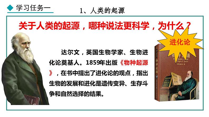 1.1 远古时期的人类活动 课件 2024-2025学年统编版历史七年级上册04