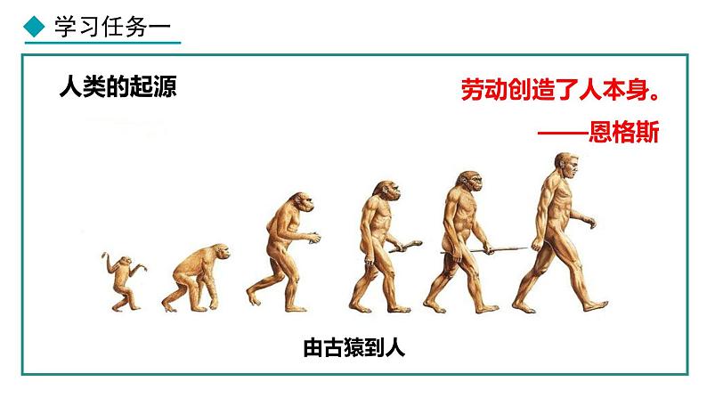 1.1 远古时期的人类活动 课件 2024-2025学年统编版历史七年级上册05