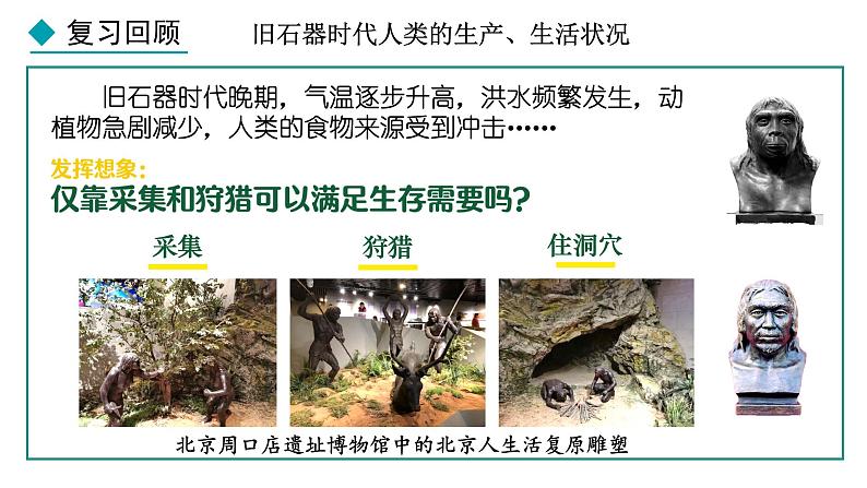 1.2 原始农业与史前社会(课件) 2024-2025学年统编版历史(2024)七年级上册02