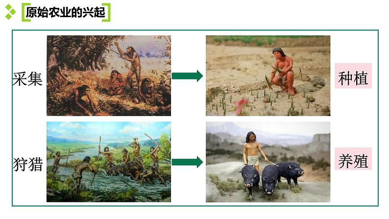 1.2 原始农业与史前社会(课件) 2024-2025学年统编版历史(2024)七年级上册03