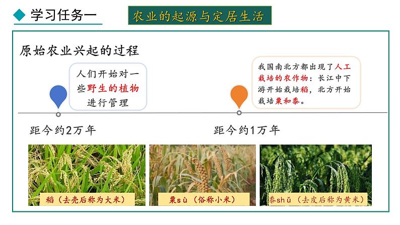 1.2 原始农业与史前社会(课件) 2024-2025学年统编版历史(2024)七年级上册04