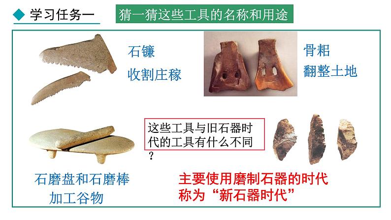 1.2 原始农业与史前社会(课件) 2024-2025学年统编版历史(2024)七年级上册06
