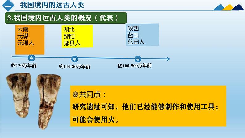 人教统编2024年版七年级历史上册第1课_远古时期的人类活动【教学课件】08