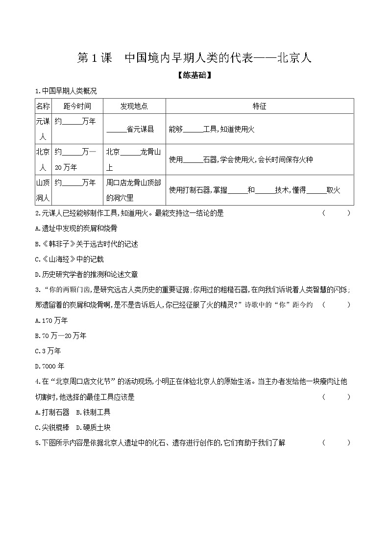 第1课　中国境内早期人类的代表——北京人 课时提高练（含答案）---统编版2024-2025学年七年级历史上册01