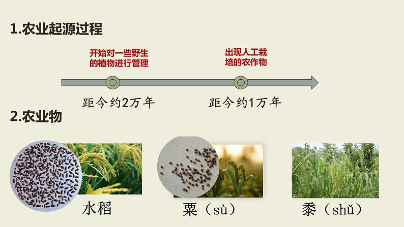 人教部编版 七年级历史上册 第一单元 第二课 原始农业与史前社会 课件07