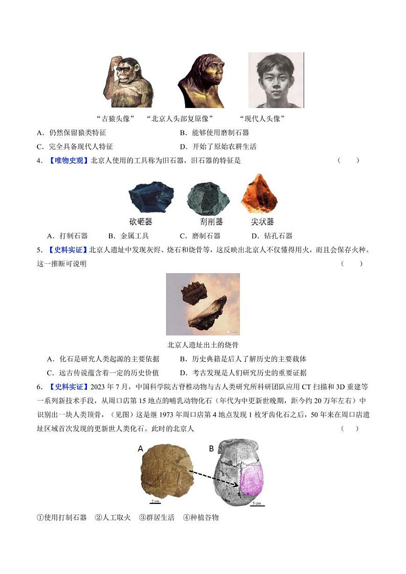 第1课 远古时期的人类活动（分层作业）（含答案）2024-2025学年七年级历史上册同步备课系列（统编版2024）02