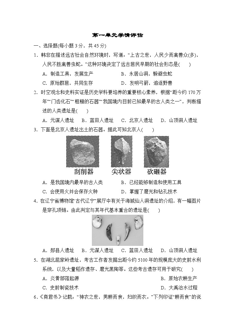 部编版2024-2025学年七年级上册历史第1单元 史前时期：原始社会与中华文明的起源  单元学情评估卷（含答案）01