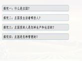 第8课 西欧庄园 课件2024-2025学年部编版九年级历史上册