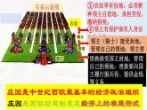第8课 西欧庄园 课件2024-2025学年部编版九年级历史上册
