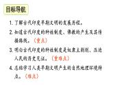 第3 古代印度-2024-2025学年历史九年级上册同步备课高效课件（统编版）