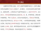 第2課 原始農(nóng)業(yè)與史前社會（課件 含視頻） 七年級歷史上冊 課件（ 人教版2024）