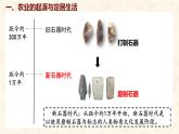 第2课 原始农业与史前社会 课件-2024-2025学年统编版七年级历史上册