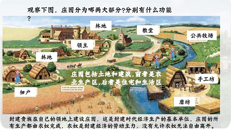 人教版九年级历史上册 第8课 《西欧庄园》 课件第7页