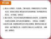 第2课 原始农业与史前社会 课件2024-2025学年统编版七年级历史上册