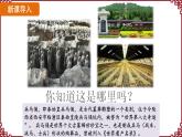 第9课 秦统一中国 课件2024-2025学年统编版七年级历史上册
