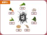 第14课  丝绸之路的开通与经营西域 课件2024-2025学年统编版七年级历史上册