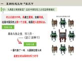 第4课 夏商西周王朝的更替课件