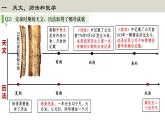 第8课夏商周时期的科技与文化课件